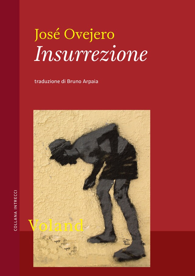 Portada de libro para Insurrezione