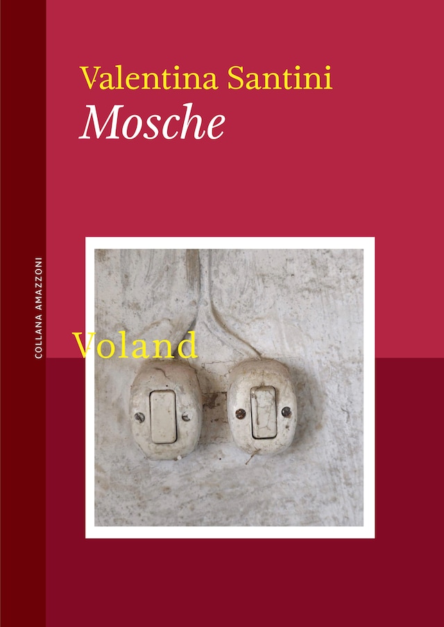 Kirjankansi teokselle Mosche