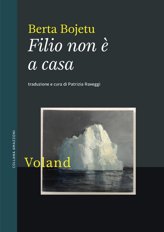 Copertina del libro per Filio non è a casa