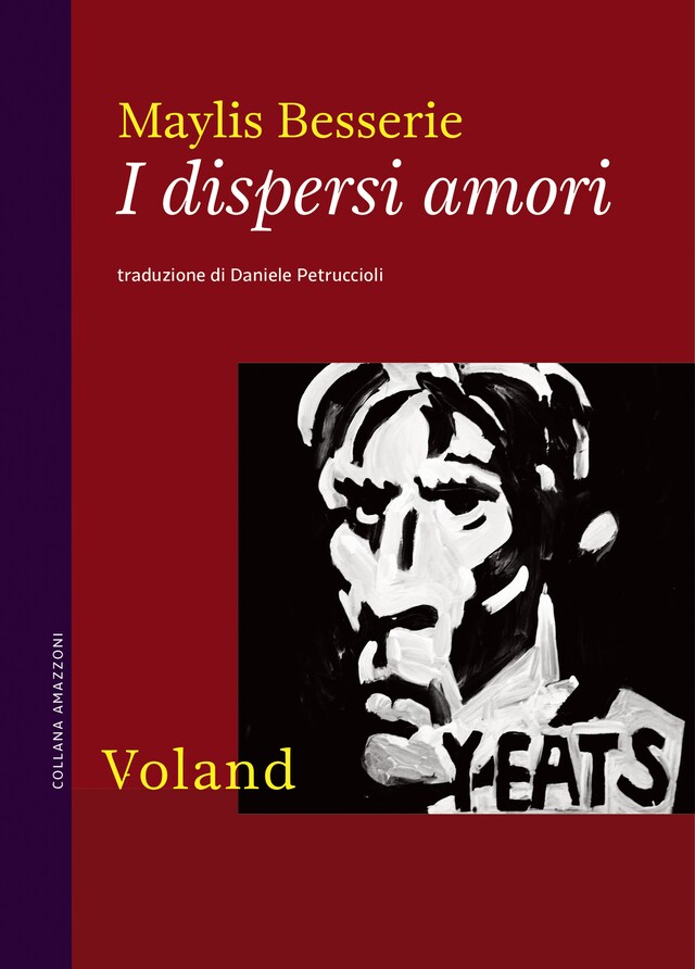 Book cover for I dispersi amori