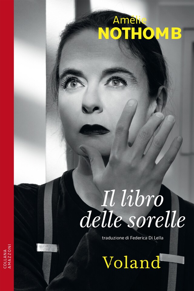 Book cover for Il libro delle sorelle