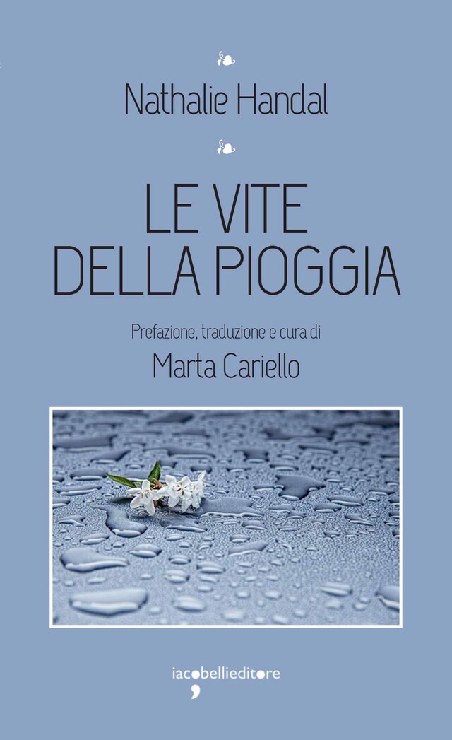 Buchcover für Le vite della pioggia