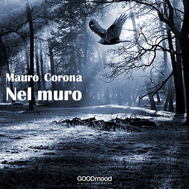 Book cover for Nel muro