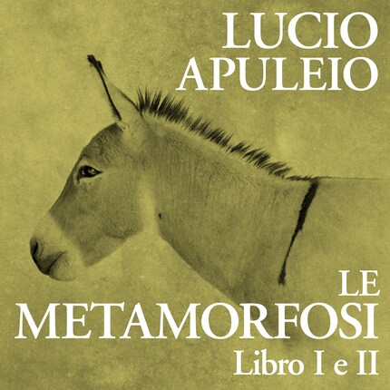 Le Metamorfosi. Libro I e II bookCoverFor