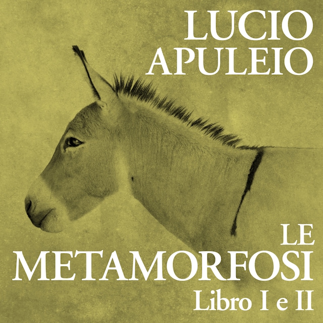 Copertina del libro per Le Metamorfosi. Libro I e II