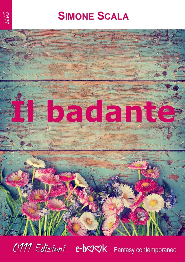 Book cover for Il badante