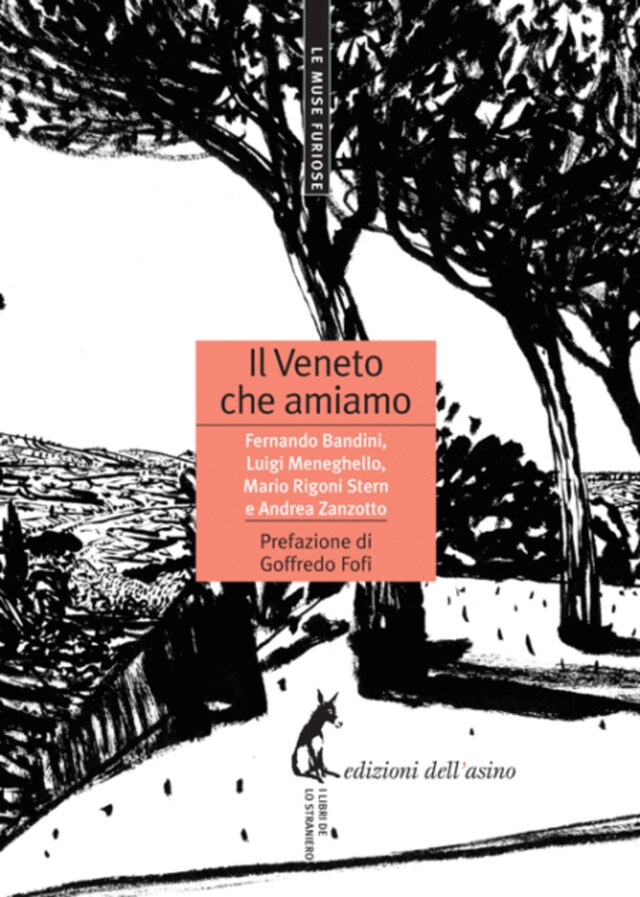 Book cover for Il Veneto che amiamo