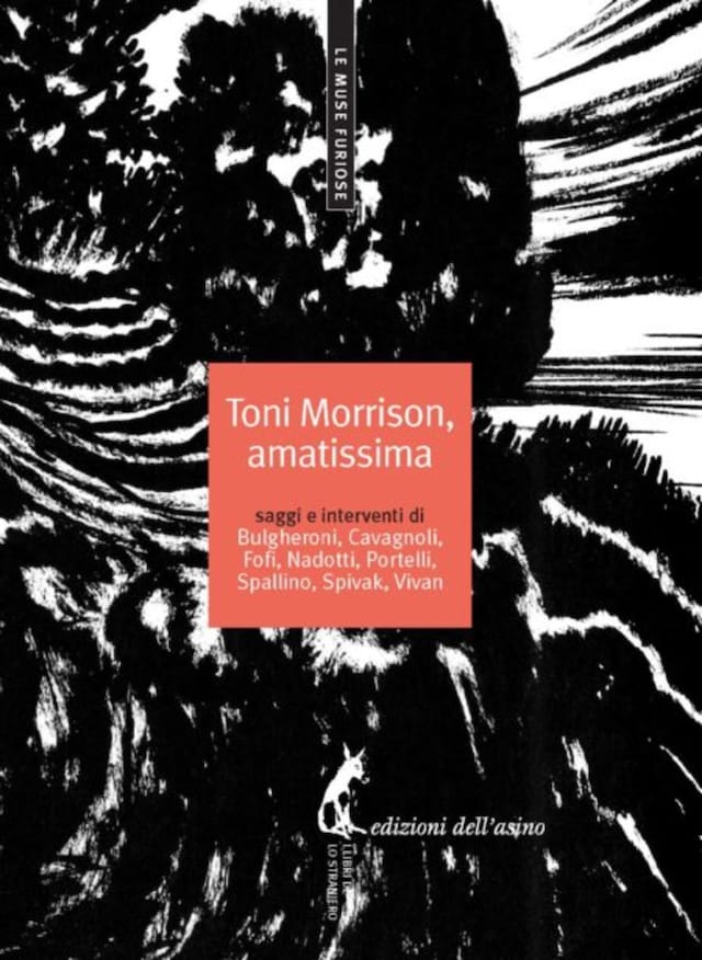 Toni Morrison, amatissima