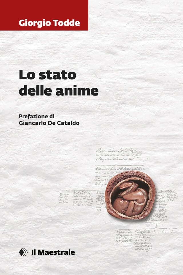 Bokomslag for Lo sto delle anime