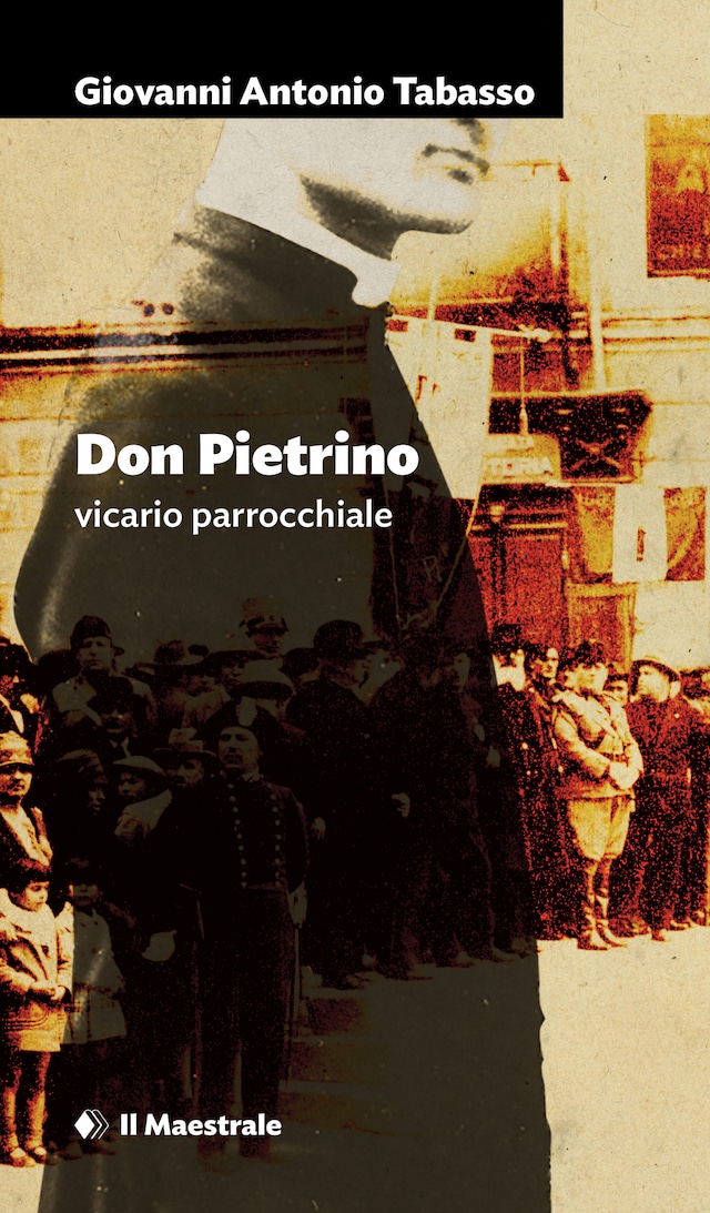 Book cover for Don Pietrino - vicario parrocchiale