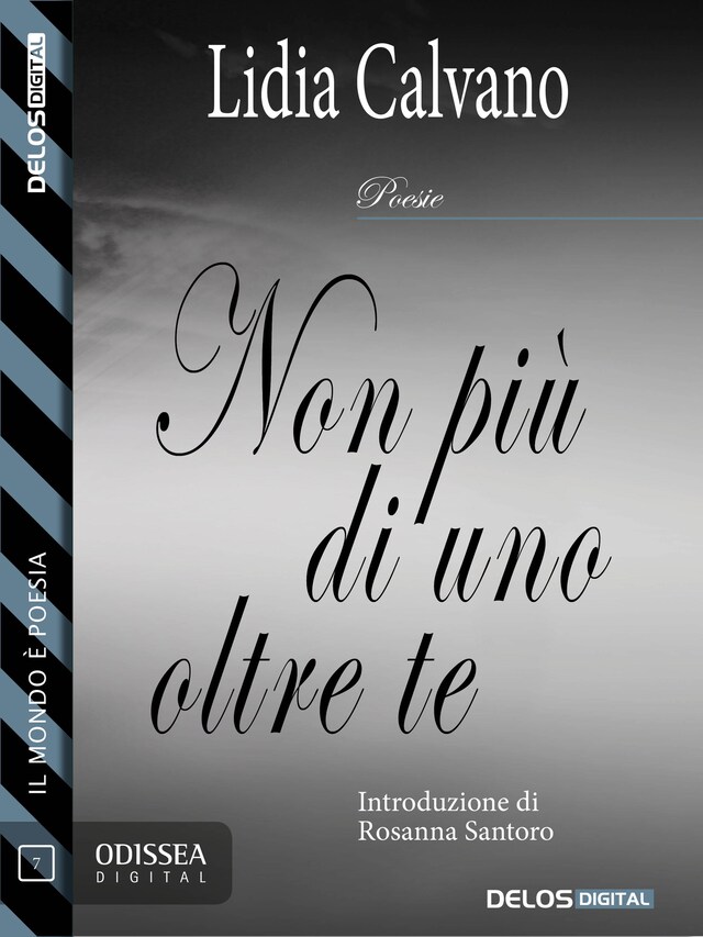 Book cover for Non più di uno oltre te