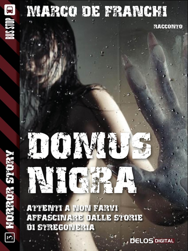 Boekomslag van Domus Nigra