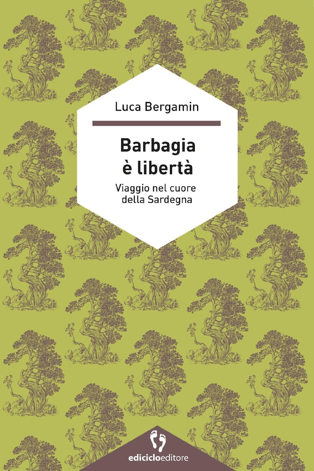 Bogomslag for BARBAGIA E LIBERTA'