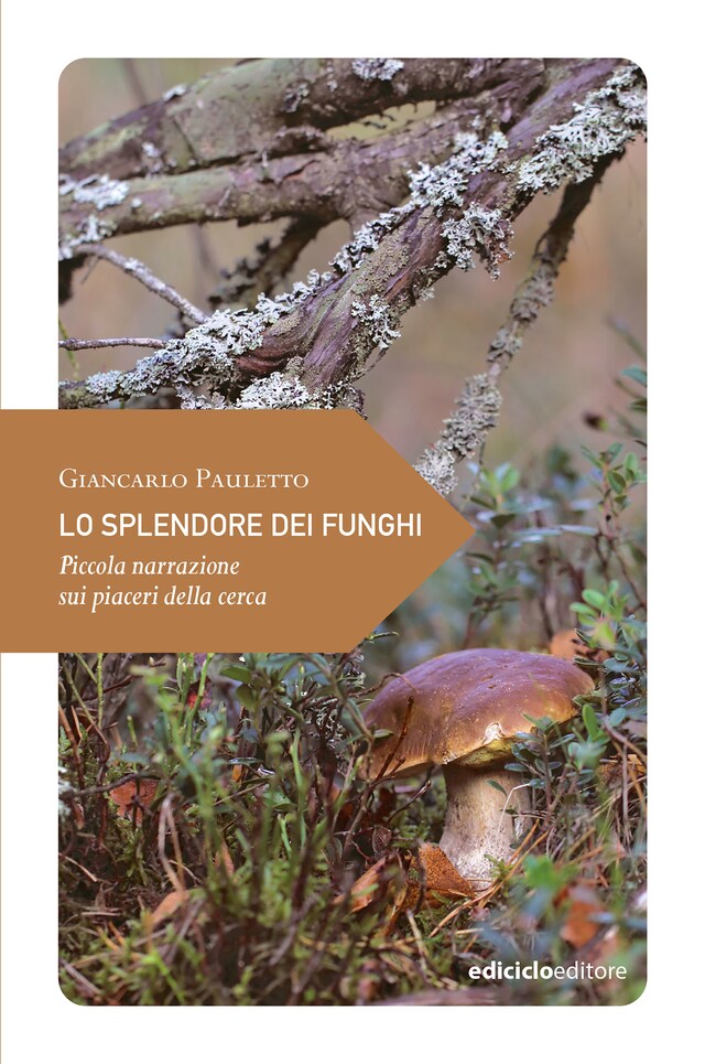 Book cover for Lo splendore dei funghi