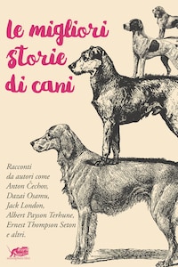 Le migliori storie di cani