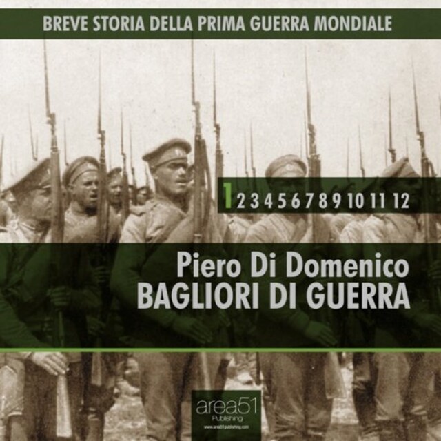 Book cover for Breve storia della Prima Guerra Mondiale vol. 1 - Bagliori di guerra