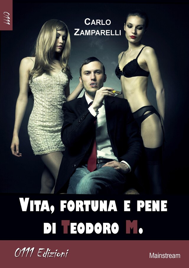 Copertina del libro per Vita fortuna e pene di Teodoro M.