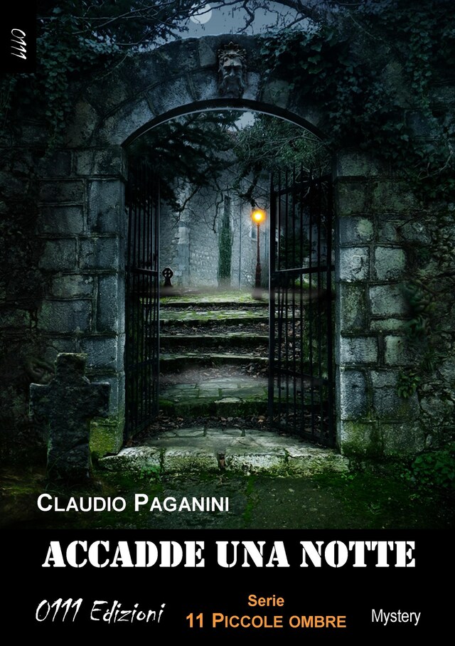 Portada de libro para Accadde una notte