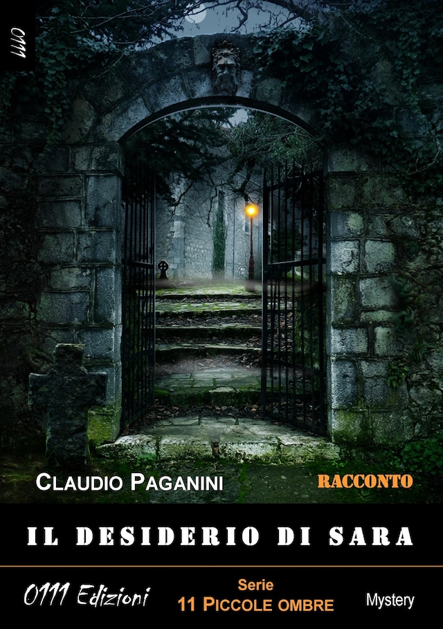 Book cover for Il desiderio di Sara