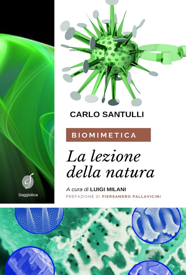 Book cover for Biomimetica: la lezione della Natura