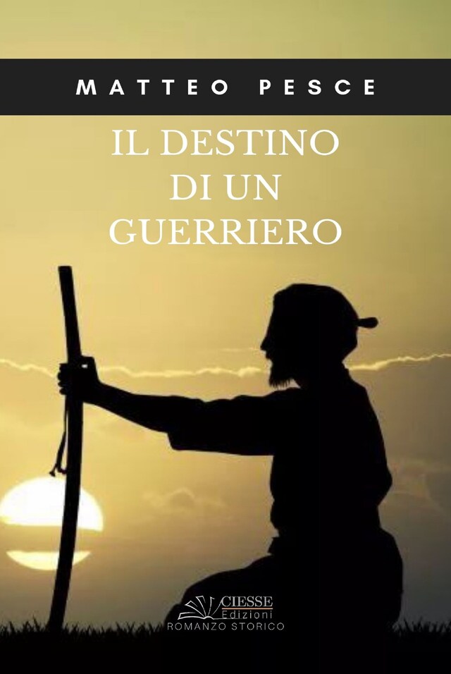 Buchcover für Il destino di un guerriero