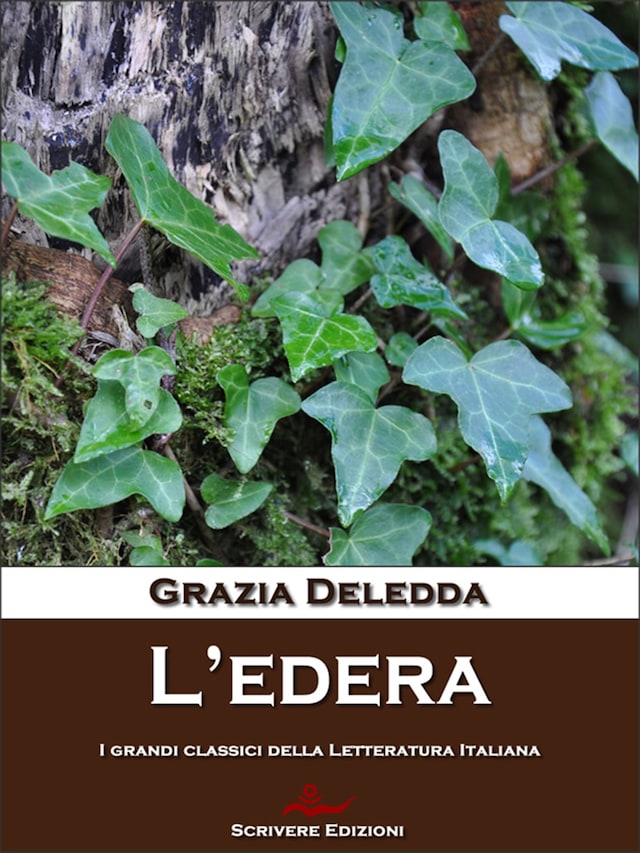 Book cover for L'edera