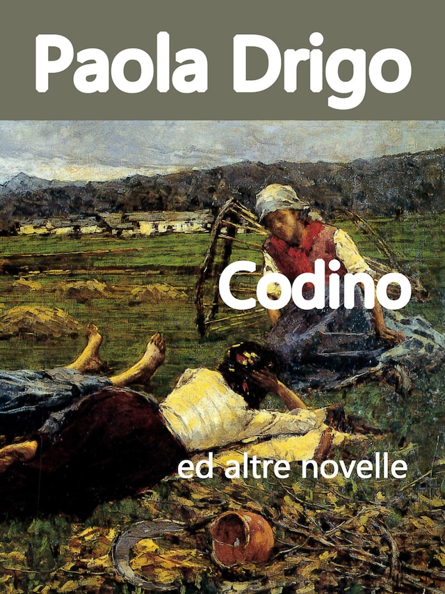 Buchcover für Codino