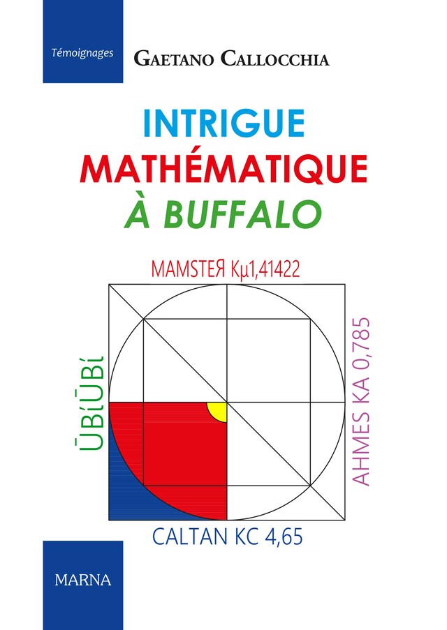 Buchcover für Intrigue mathématique à Buffalo