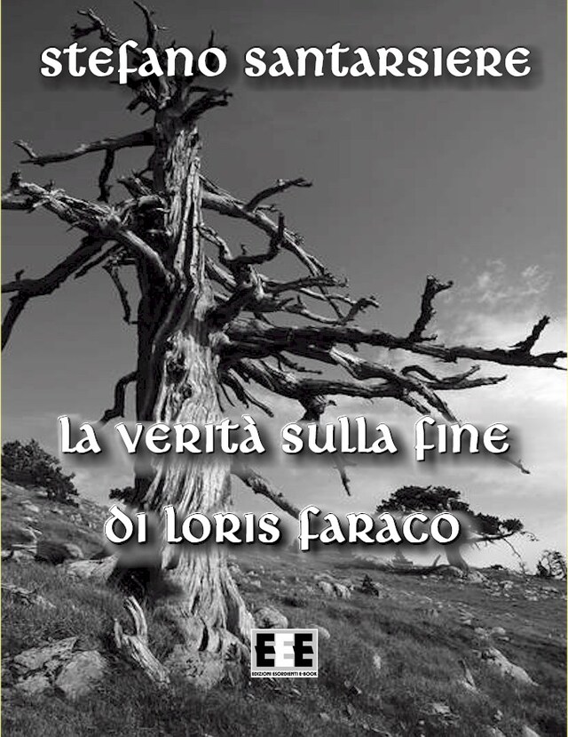 Couverture de livre pour La verità sulla fine di Loris Faraco