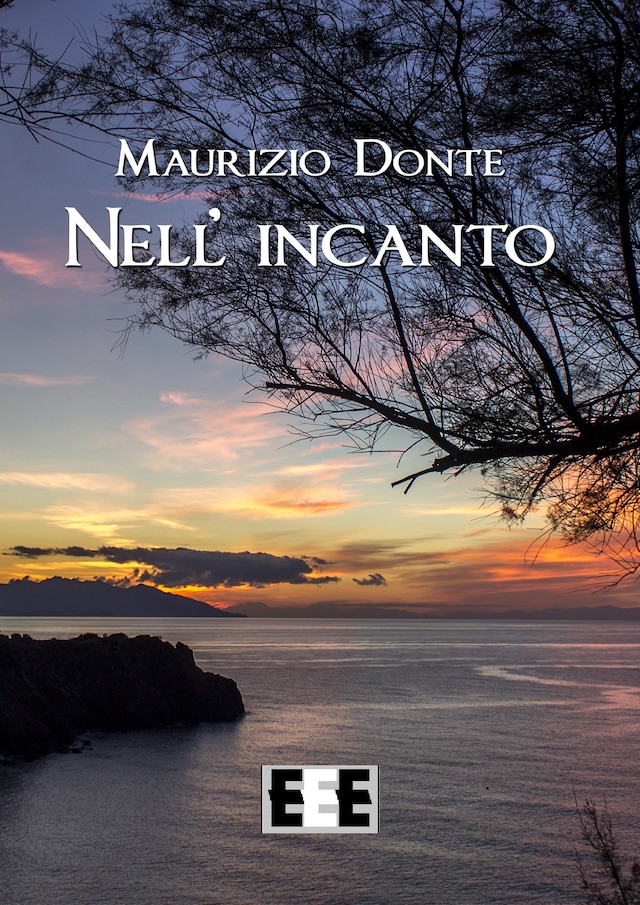 Book cover for Nell'incanto