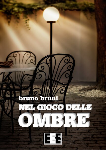 Nel gioco delle ombre bookCoverFor
