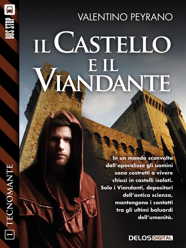 Couverture de livre pour Il castello e il viandante