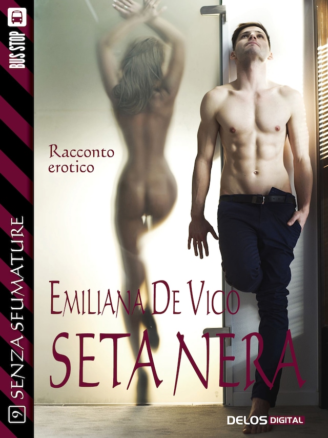 Book cover for Seta nera