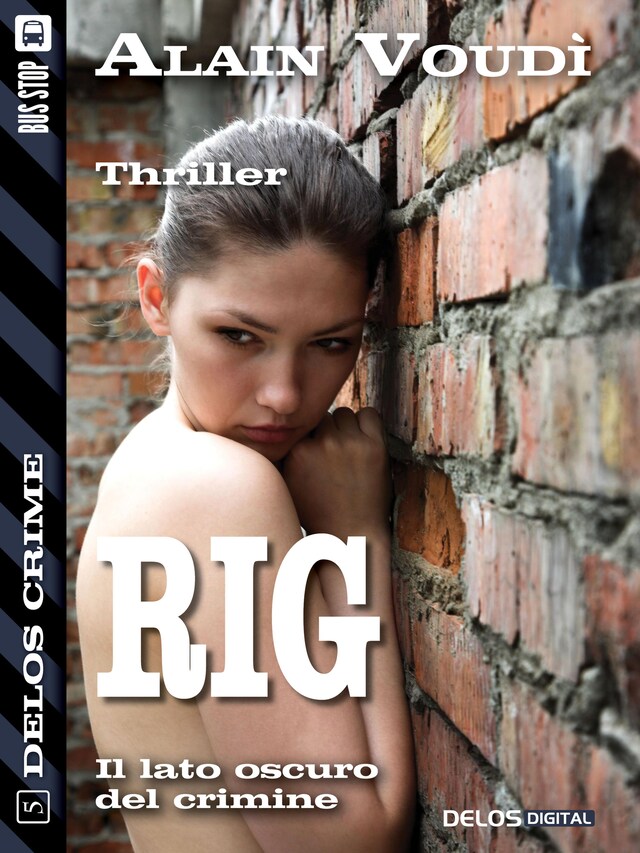 Book cover for RIG