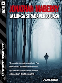 La lunga strada verso casa