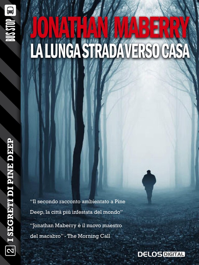 Book cover for La lunga strada verso casa