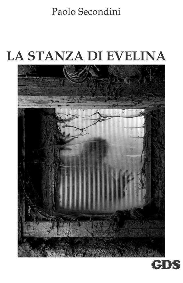 Bokomslag for La stanza di Evelina