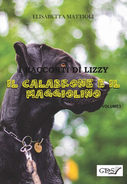 Il calabrone e il Maggiolino bookCoverFor