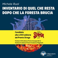 Inventario di quel che resta dopo che la foresta brucia