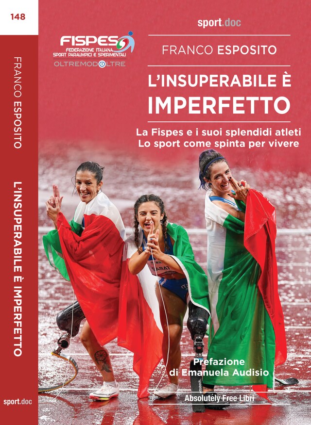 Book cover for L'insuperabile è imperfetto