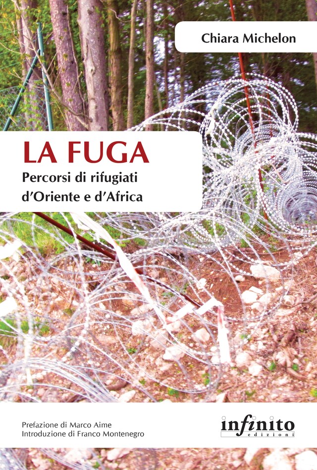 Book cover for La fuga