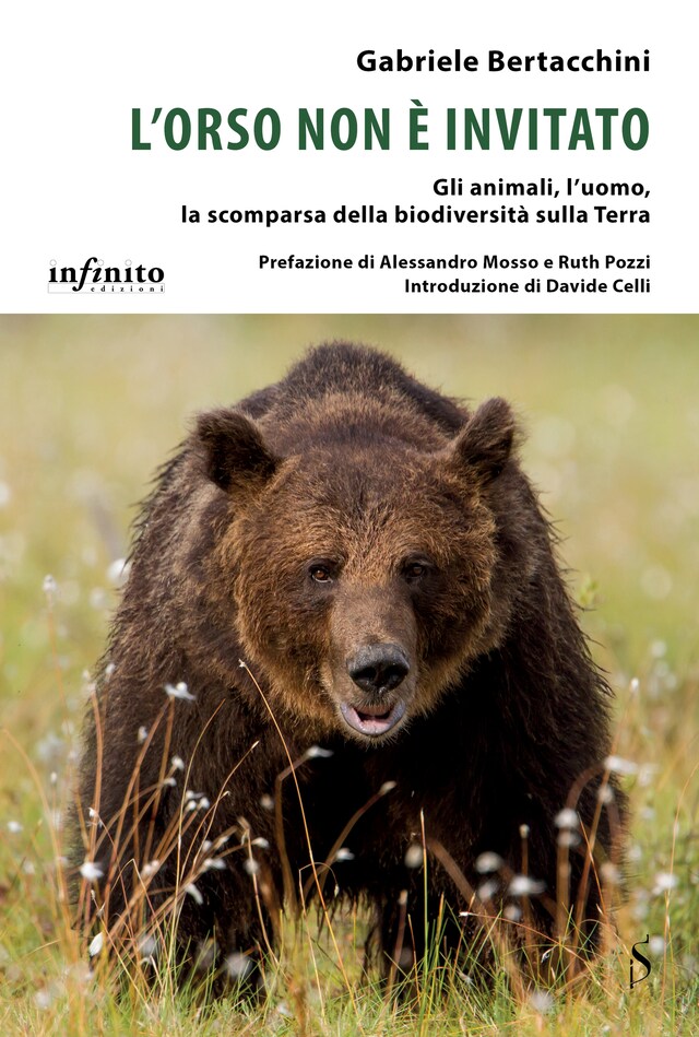 Couverture de livre pour L’orso non è invitato