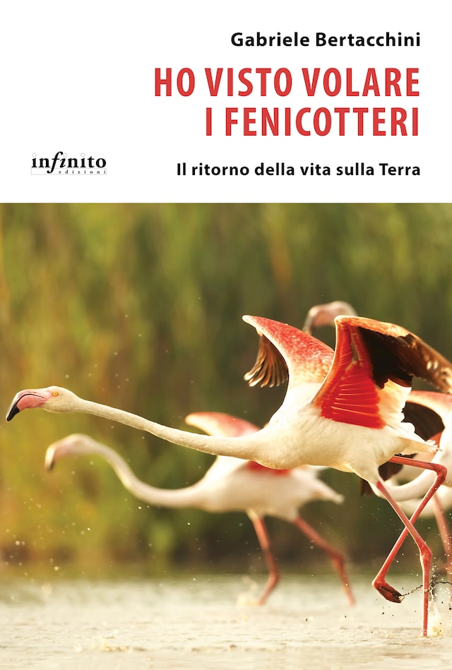 Book cover for Ho visto volare i fenicotteri