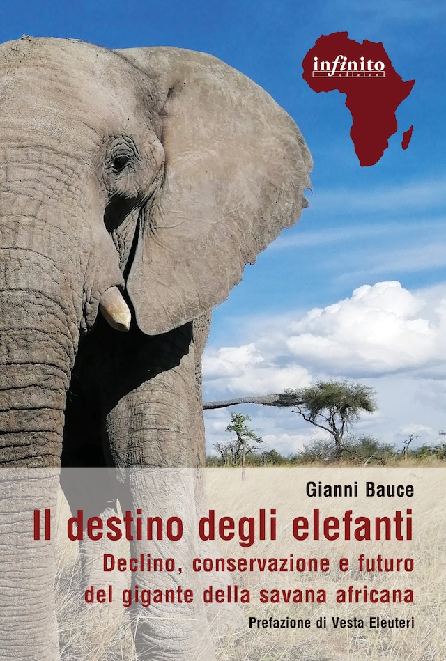 Portada de libro para Il destino degli elefanti