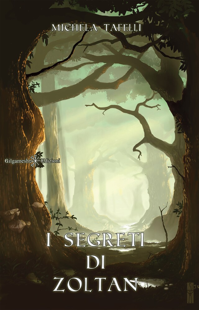 Book cover for I segreti di Zoltan