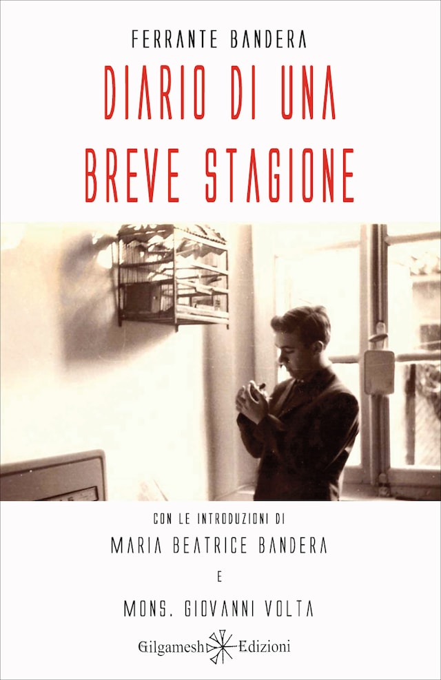 Book cover for Diario di una breve stagione