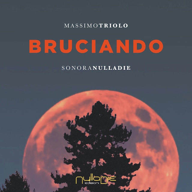 Copertina del libro per Bruciando