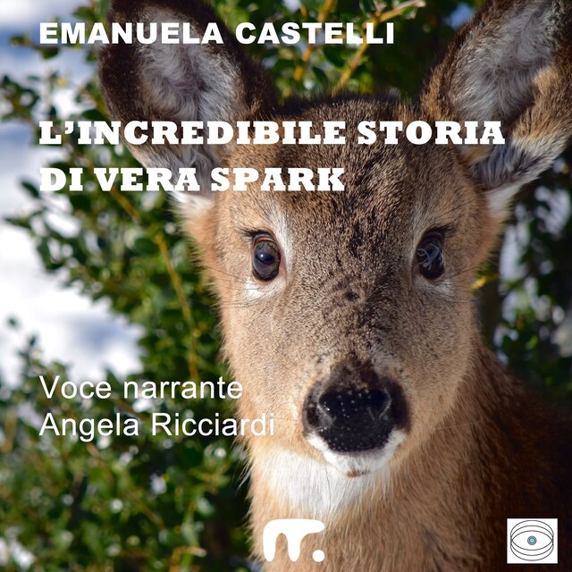 Couverture de livre pour L'incredibile storia di Vera Spark