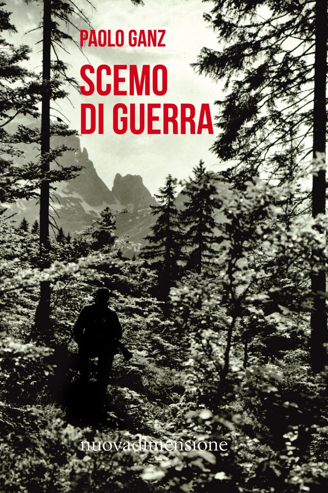 Buchcover für Scemo di guerra