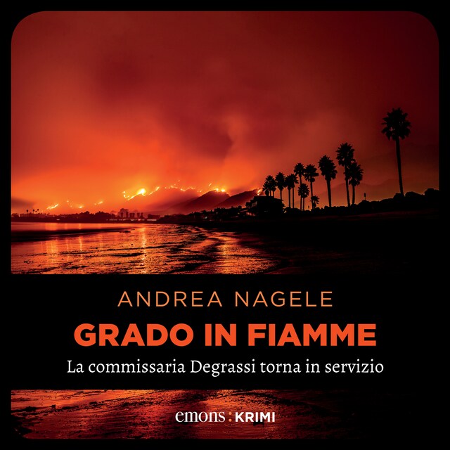 Book cover for Grado in fiamme